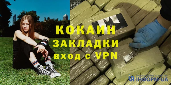 тгк Гусев