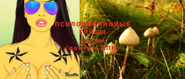 шишки Алексеевка