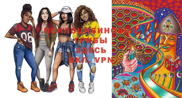 шишки Алексеевка